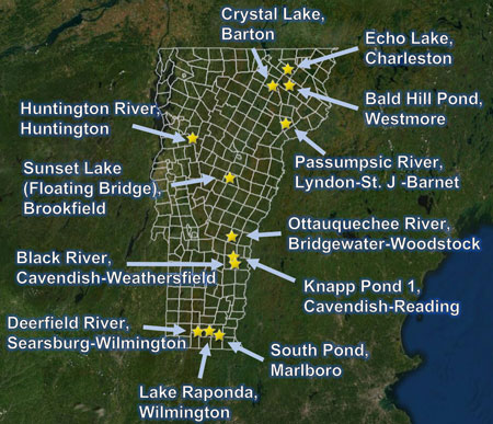 Rainbow Trout Strain Evaluation | Vermont Fish & Wildlife Department